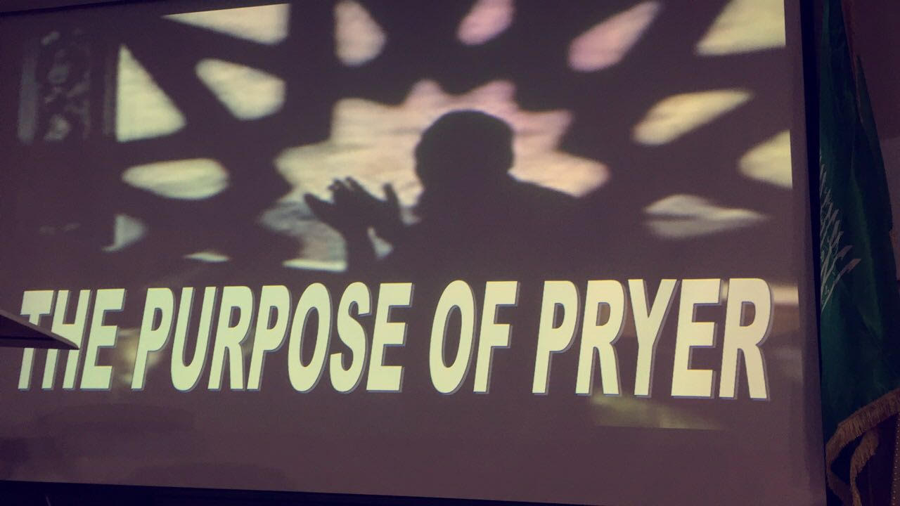 1480849872.jpg