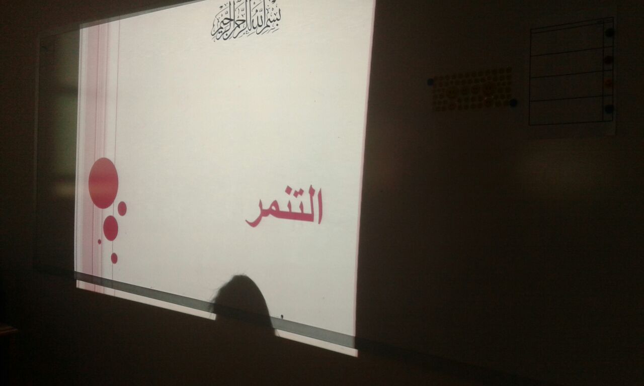 1522013846.jpg