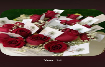 راسخ4