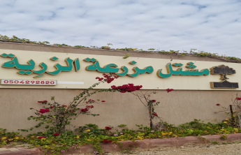 مهرجان الحمضيات